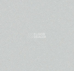 Линолеум Forbo SureStep Laguna 181262 trout фото 1 | FLOORDEALER